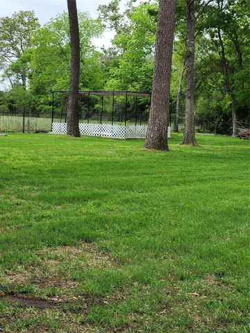 5016 Rimrock Pass Drive, Montgomery, TX 77316