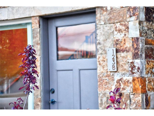 123 Halley's Ave B, Poncha Springs, CO 81242