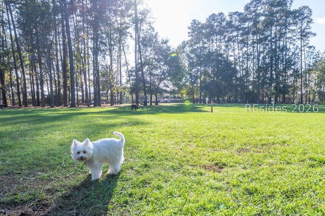 238 Colonel Thomas Heyward Rd, Bluffton, SC 29909