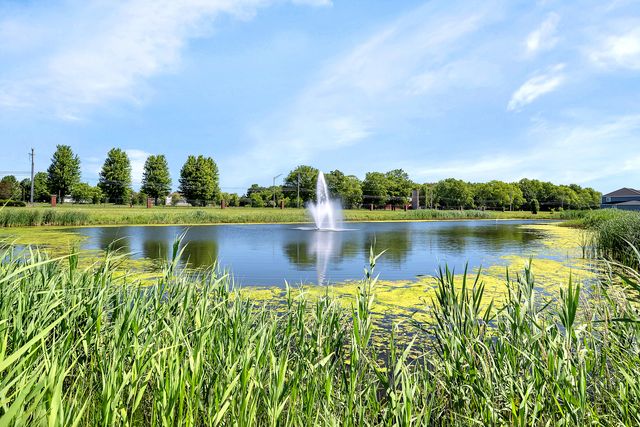 26105 W Grande Park Boulevard, Plainfield, IL 60544