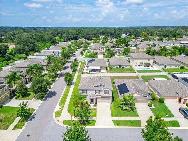 215 ENGLISH HERITAGE PLACE, Dover, FL 33527