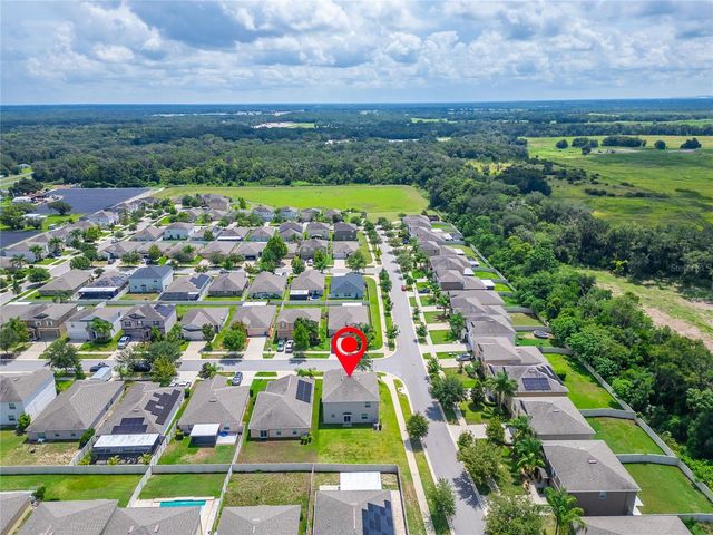 215 ENGLISH HERITAGE PLACE, Dover, FL 33527