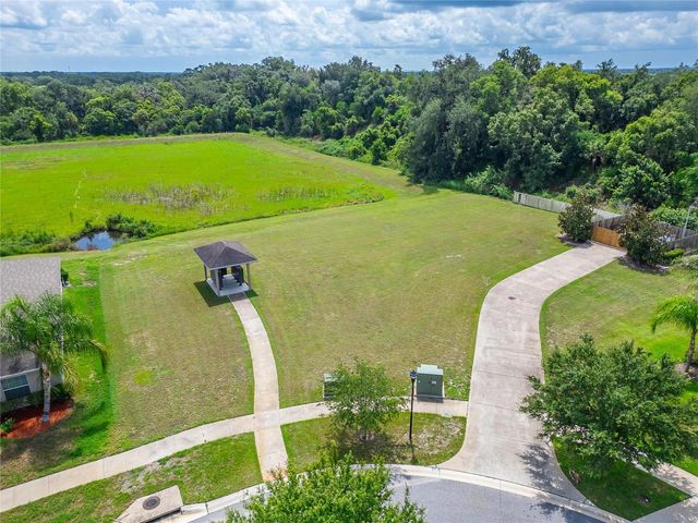 215 ENGLISH HERITAGE PLACE, Dover, FL 33527
