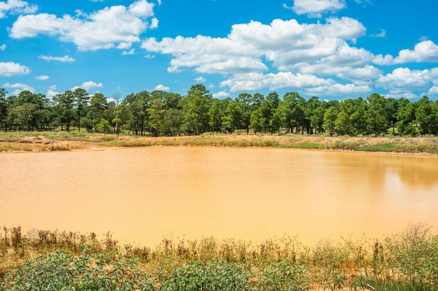 212 Meuth Cemetery RD, Red Rock, TX 78662