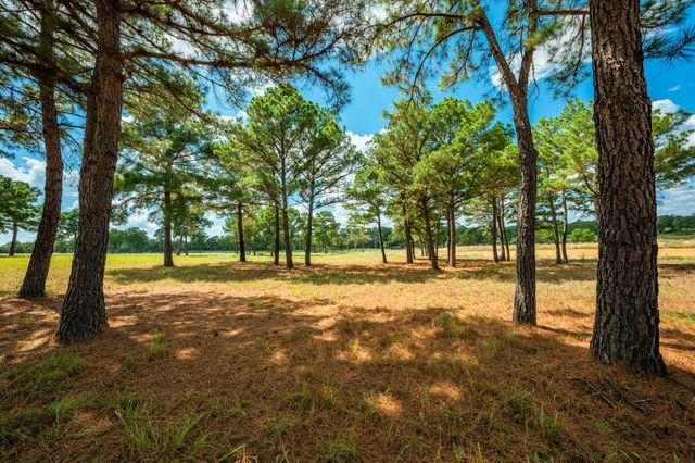 212 Meuth Cemetery RD, Red Rock, TX 78662