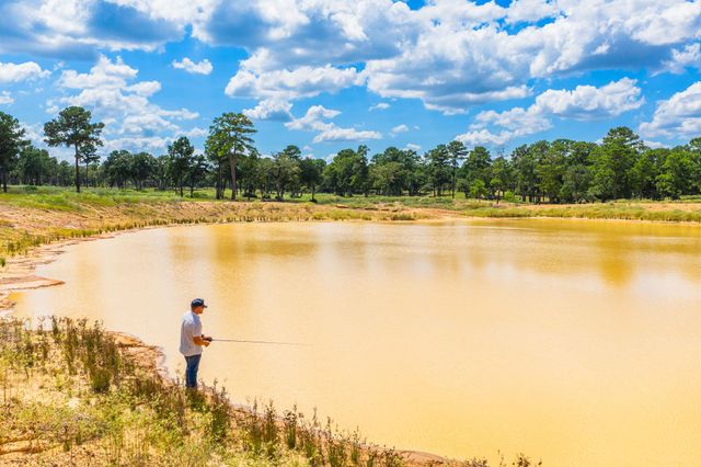 212 Meuth Cemetery RD, Red Rock, TX 78662