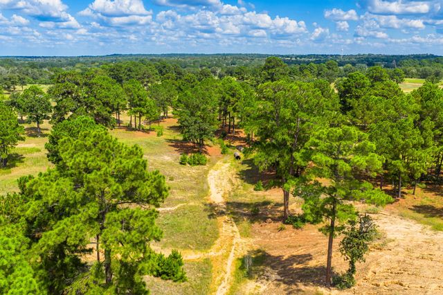 212 Meuth Cemetery RD, Red Rock, TX 78662