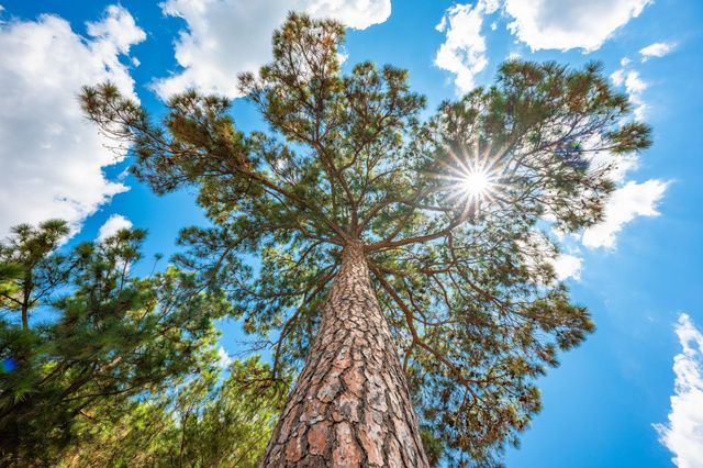 212 Meuth Cemetery RD, Red Rock, TX 78662