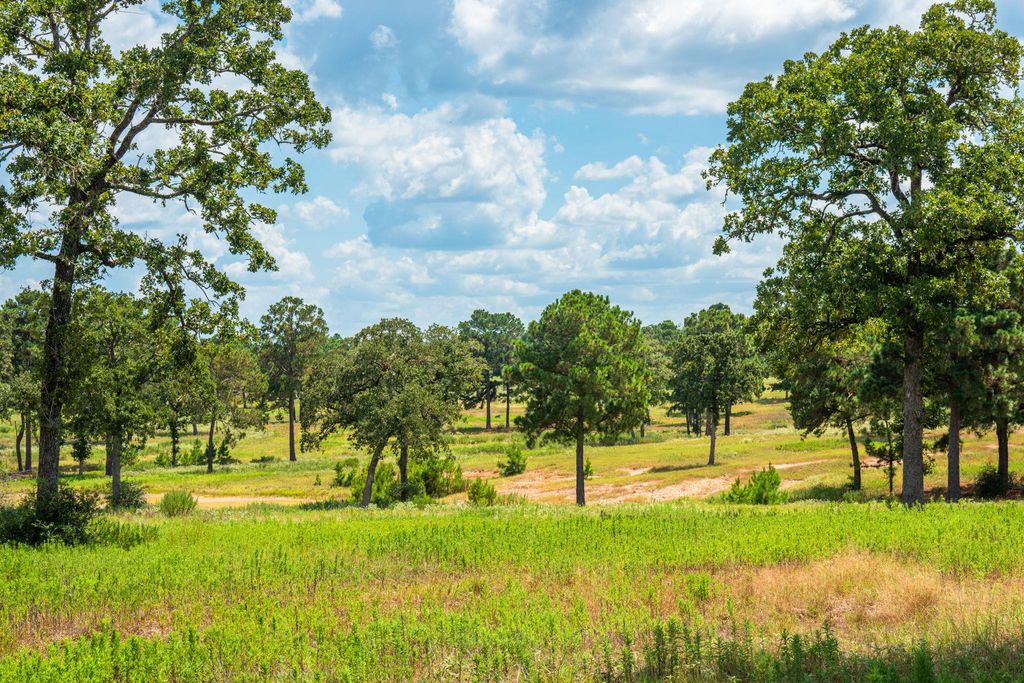 212 Meuth Cemetery RD, Red Rock, TX 78662