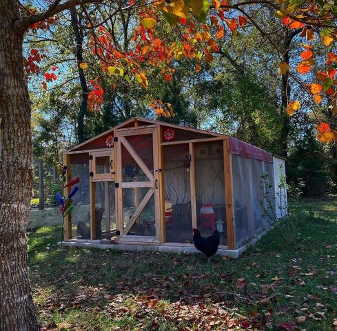 11523 Oak Springs Drive, Willis, TX 77378