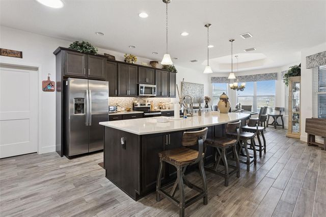 1017 WILDER PATH, The Villages, FL 32163