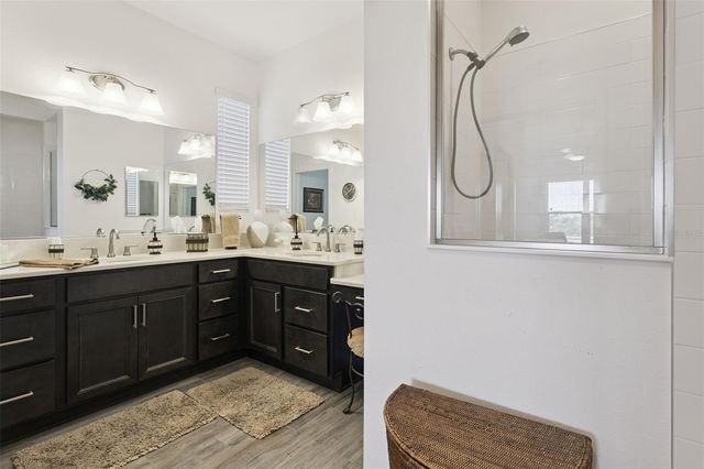 1017 WILDER PATH, The Villages, FL 32163