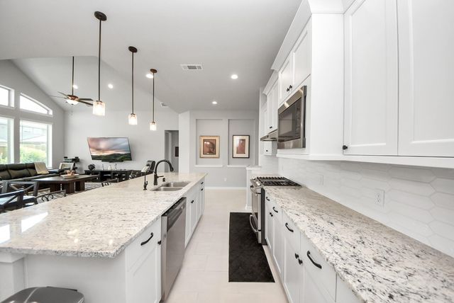 29602 Cherry Vine Road, Katy, TX 77494