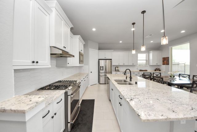 29602 Cherry Vine Road, Katy, TX 77494