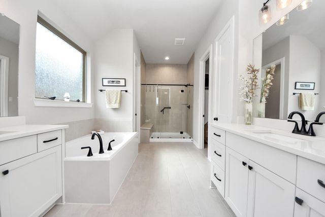 29602 Cherry Vine Road, Katy, TX 77494