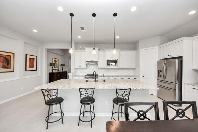 29602 Cherry Vine Road, Katy, TX 77494
