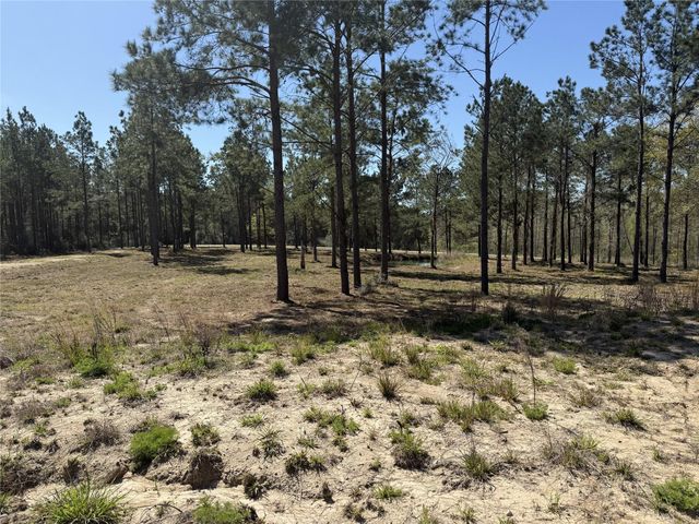 521 Rolling Pines Dr, Livingston, TX 77351