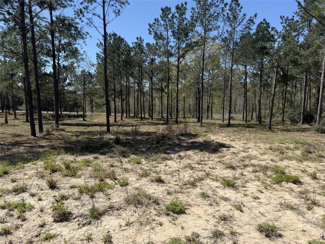 521 Rolling Pines Dr, Livingston, TX 77351