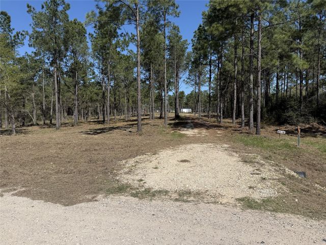 521 Rolling Pines Dr, Livingston, TX 77351