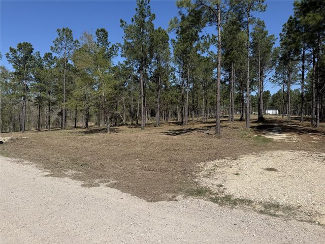 521 Rolling Pines Dr, Livingston, TX 77351