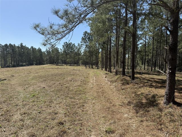 521 Rolling Pines Dr, Livingston, TX 77351