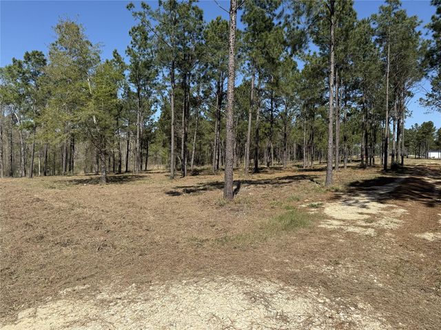 521 Rolling Pines Dr, Livingston, TX 77351