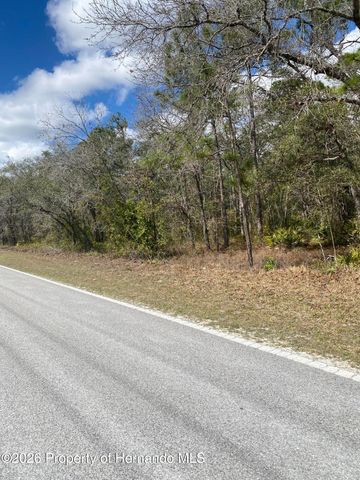 12041 Knuckey Road, Brooksville, FL 34614