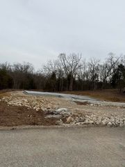 215 Holly Way Drive, Kirbyville, MO 65679