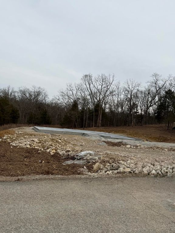 215 Holly Way Drive, Kirbyville, MO 65679