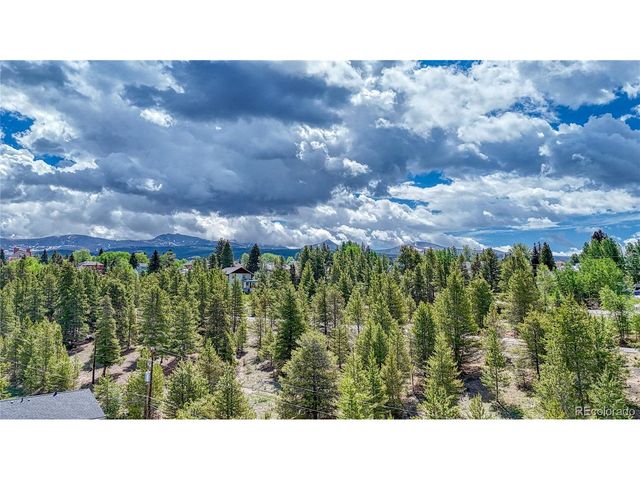 921 Mt Massive Dr 1-23, Leadville, CO 80461