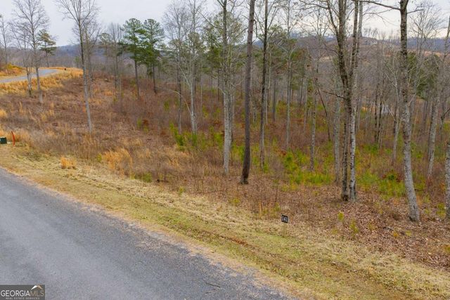 LOT 141 Twisted Oak Road, Talking Rock, GA 30175