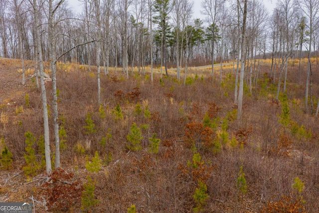 LOT 141 Twisted Oak Road, Talking Rock, GA 30175
