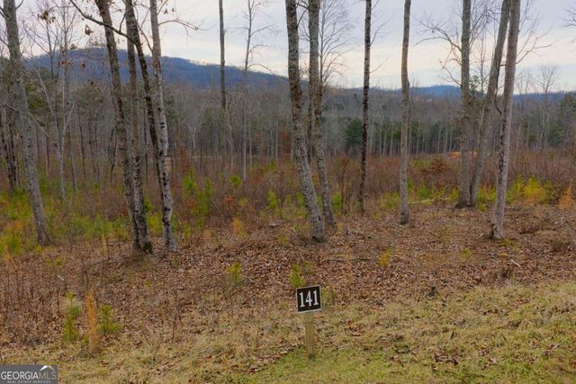LOT 141 Twisted Oak Road, Talking Rock, GA 30175