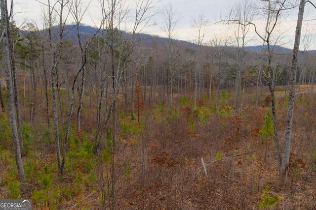 LOT 141 Twisted Oak Road, Talking Rock, GA 30175