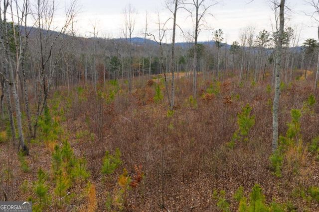 LOT 141 Twisted Oak Road, Talking Rock, GA 30175