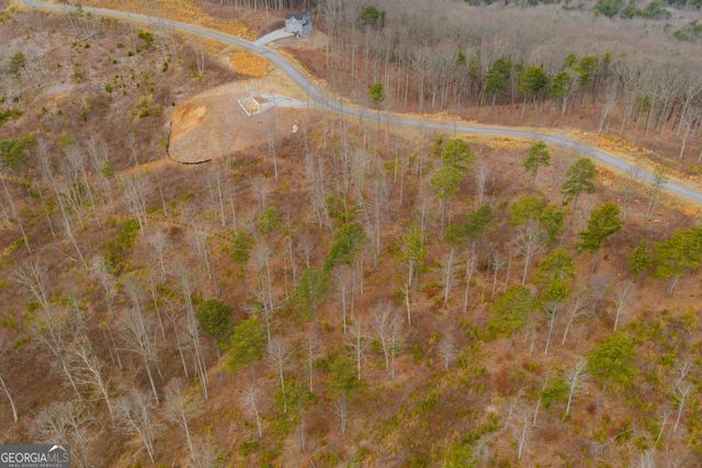 LOT 141 Twisted Oak Road, Talking Rock, GA 30175