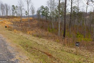 LOT 141 Twisted Oak Road, Talking Rock, GA 30175