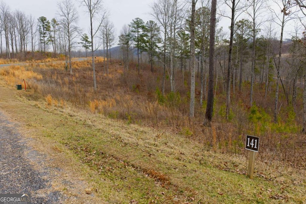 LOT 141 Twisted Oak Road, Talking Rock, GA 30175