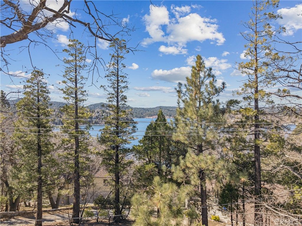 Image 14 of property listing at 28994 North Shore, Lake Arrowhead, CA 92352