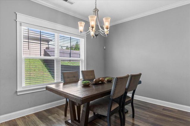 10211 Stellata Lane, Apison, TN 37302