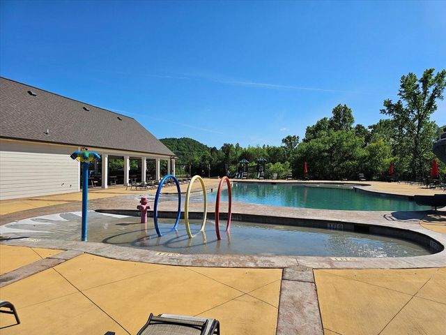 10211 Stellata Lane, Apison, TN 37302