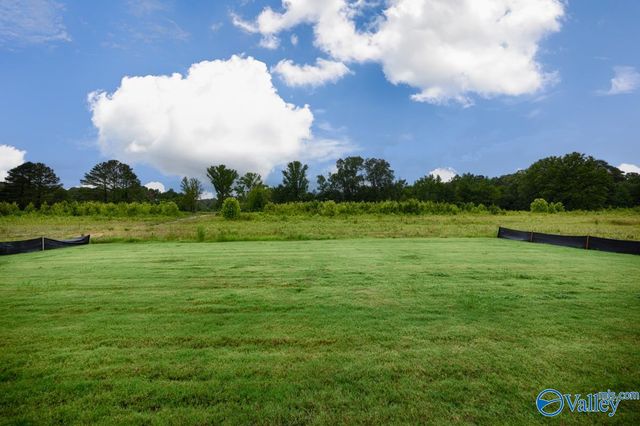 6132 Abner Branch Boulevard, Owens Cross Roads, AL 35763