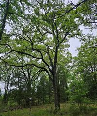 01 Private 5401 Road, Malakoff, TX 75148