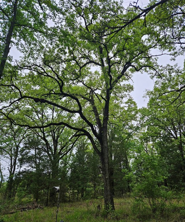 01 Private 5401 Road, Malakoff, TX 75148