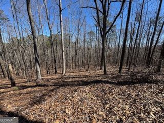 0 Brown Creek Road, Shiloh, GA 31826