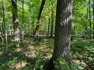 3088 110th Avenue, Frederic, WI 54837