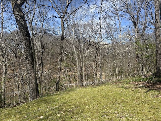 10 Shady Lane Avenue, Bella Vista, AR 72714