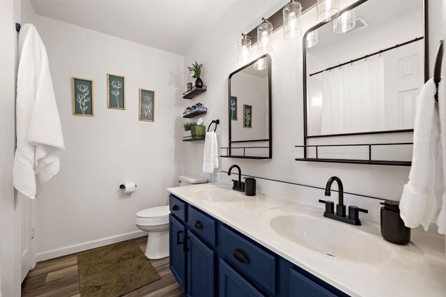 1065 Canada Wild DR, Buda, TX 78610