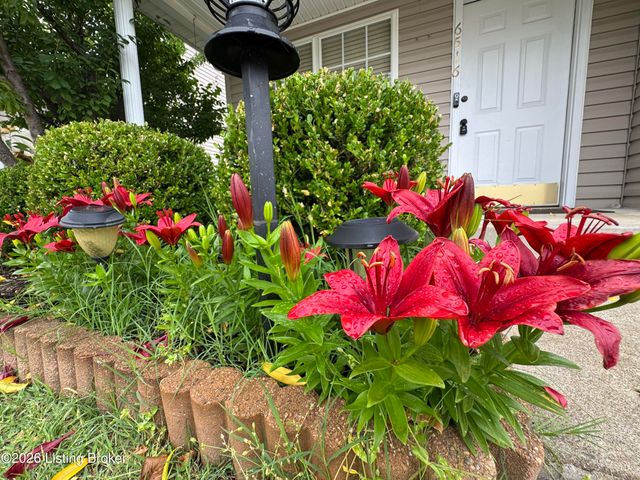 6516 Cottagemeadow Dr, Louisville, KY 40218