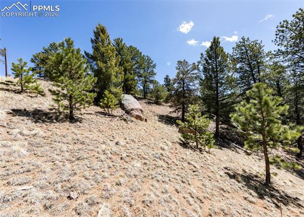 110 La Abu Trail, Florissant, CO 80816 — photo 4